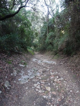 Montée vers le Pont de Valmale