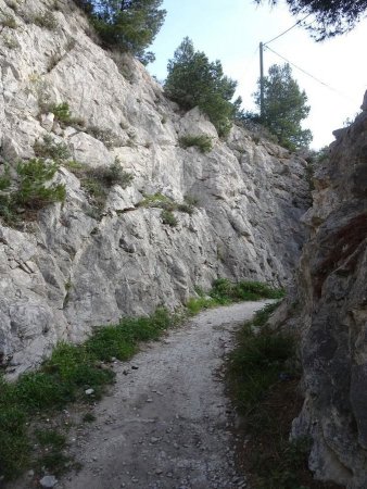 Chemin remontant du port