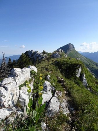 Le sommet à gauche et le Colombier à droite