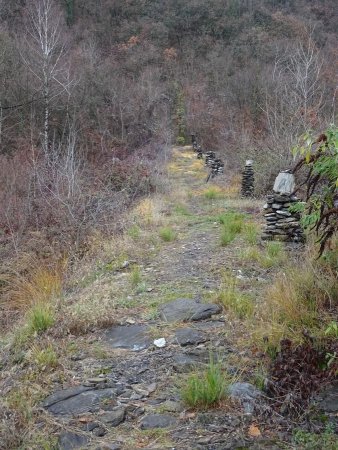 Le long du ruisseau de Cayan