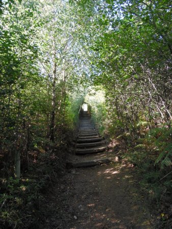 Remontée vers le sommet