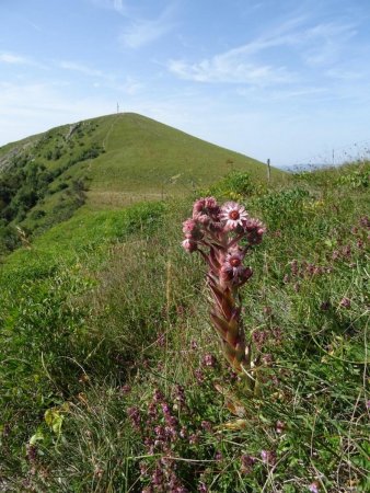 Croix du Colombier