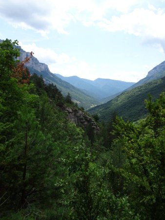 Sentier des Vautours