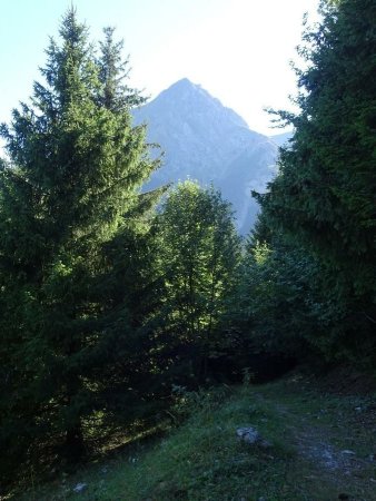 En montant au Chalet de Bottier : Pécloz