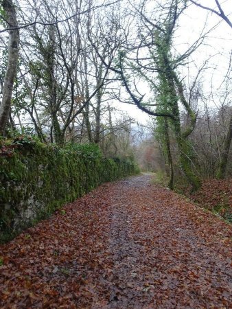 Sentier du Grand Essart