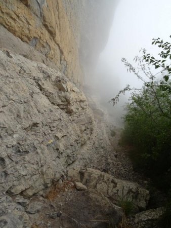 Sous la falaise