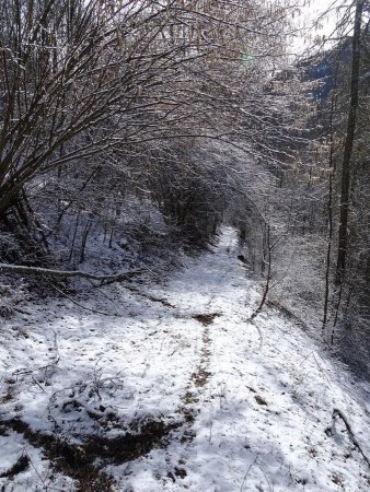 Au-dessous de Bellecombe