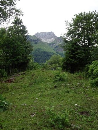 Regard arrière sur l’Arcalod