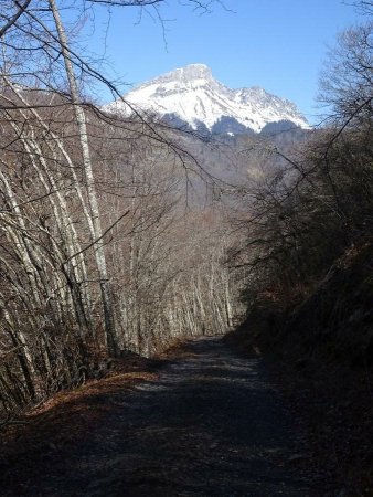 La Roche Blanche : le Colombier