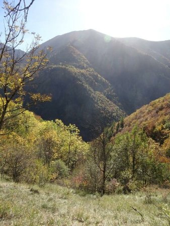 Vallon du Ruisseau de la Salette