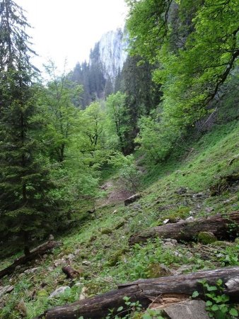 Sous les Rochers de Montheur