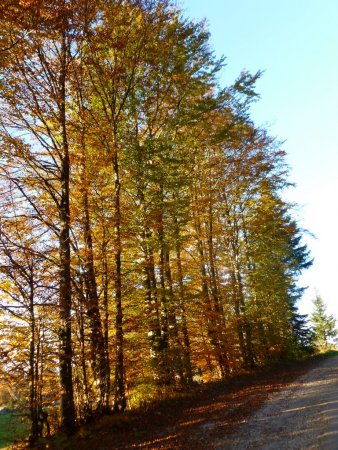 C’est l’automne !