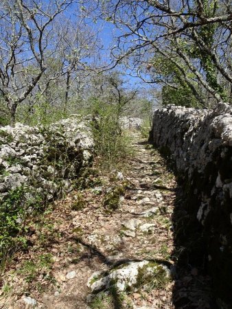 Chemin des Tomples