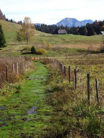 Tourbière des Creusates