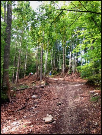 Sentier de la Vie Balcon Est.