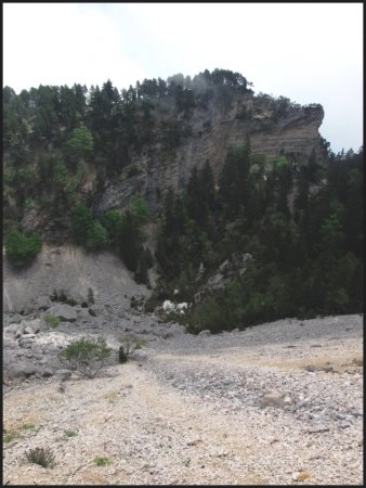 Dans le Vallon des Forges.