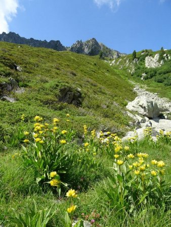 Dernier regard sur la Tête de la Perrière