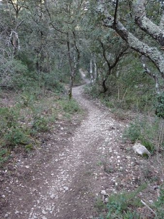 Dans le vallon du Bon Dieu