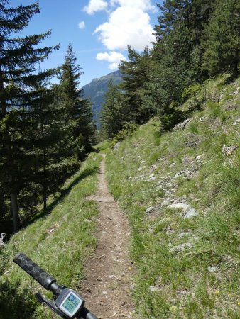 Descente de Pré Chamois.