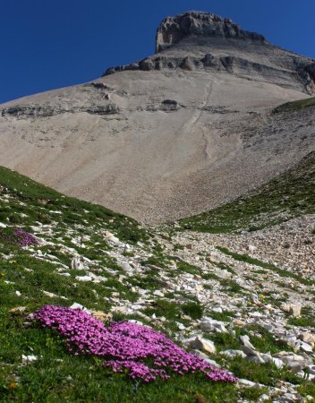 Sous le Grand Ferrand