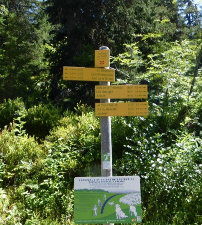 Panneau parking du Sapin suivre Bois de Thuilietaz