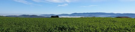 Vers le Pilat et les brouillards de la vallée du Gier