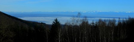 Sans le Monarque, un peu avant la Croix de Montvieux