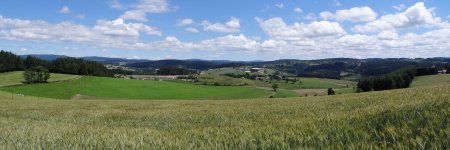 Panorama dans le rétro.