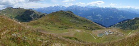 Un gros troupeau dans ce secteur de la Bagnaz.