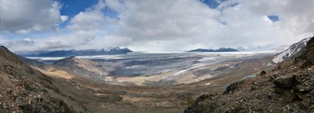 Le champ de glace