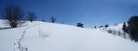 Dernière pente avant le col.