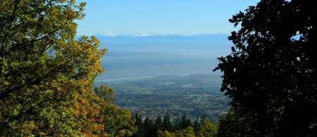 Nouveau point de vue.