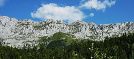 Le Ranc des Agnelons, versant ouest, en été