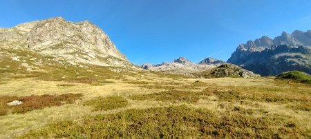 Dans la lande alpine du Belledonne