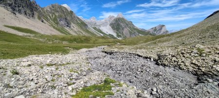 Devenant plus minérale dans sa partie haute