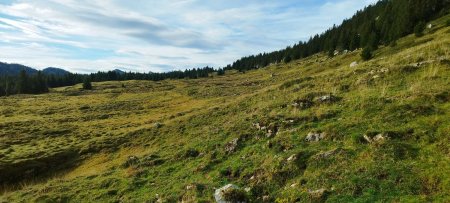 Arrivée sur le Plateau de l’Alpe