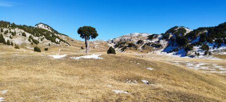 Dans la Plaine de la Queyrie