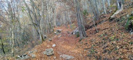 Le sentier classique de montée