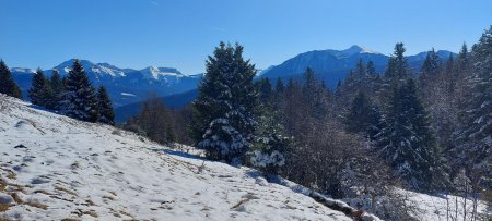 En sortant de la forêt