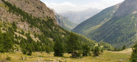 vallon de Piebrun donnant sur le Rabioux