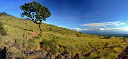 Jour 5 : Descente dans la savane