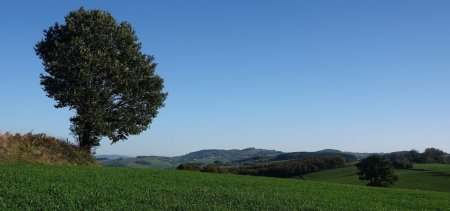 Sortie de Fontanès