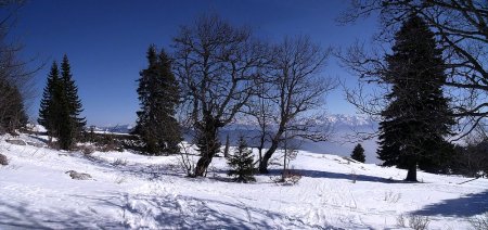 Sur les crêtes