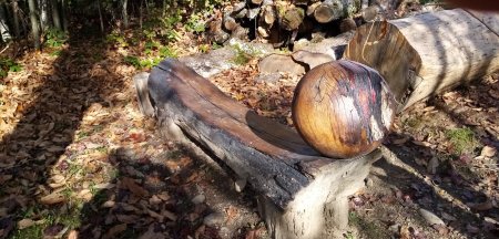 Sculpture sur bois.