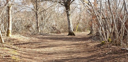 Le sentier