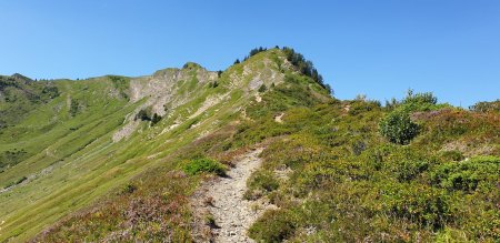 (!) Fin de la traversée des arêtes