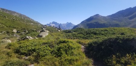 Montée au Mont Coburne