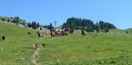 Direction le col d’Orgeval