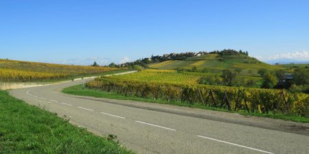 Vue arrière sur Zellenberg depuis la route D3II qui conduit à Riquewihr.