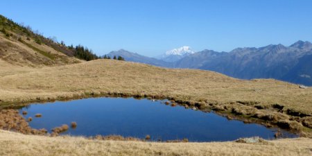 Lac des grenouilles